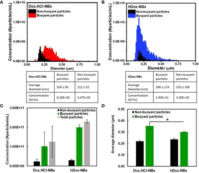 Increasing Doxorubicin Loading in Lipid-Shelled Perfluoropropane Nanobubbles via a Simple Deprotonation Strategy